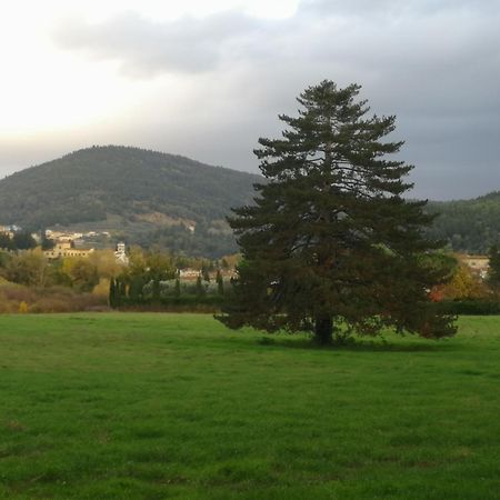 Open Space Nel Parco Con Parcheggio Gratuito Floransa Dış mekan fotoğraf