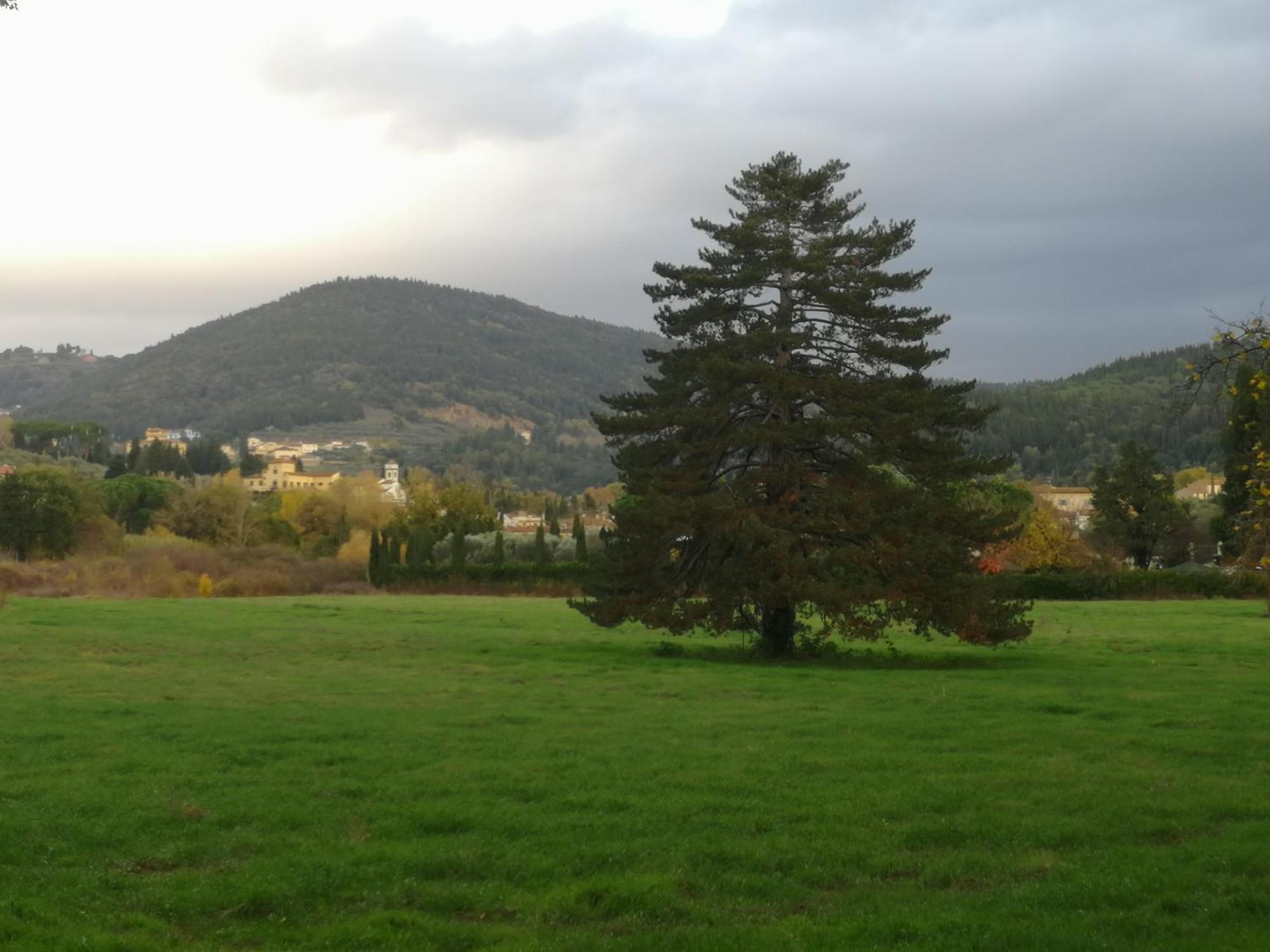 Open Space Nel Parco Con Parcheggio Gratuito Floransa Dış mekan fotoğraf